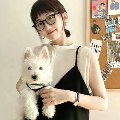 泰瑞的冒险王国